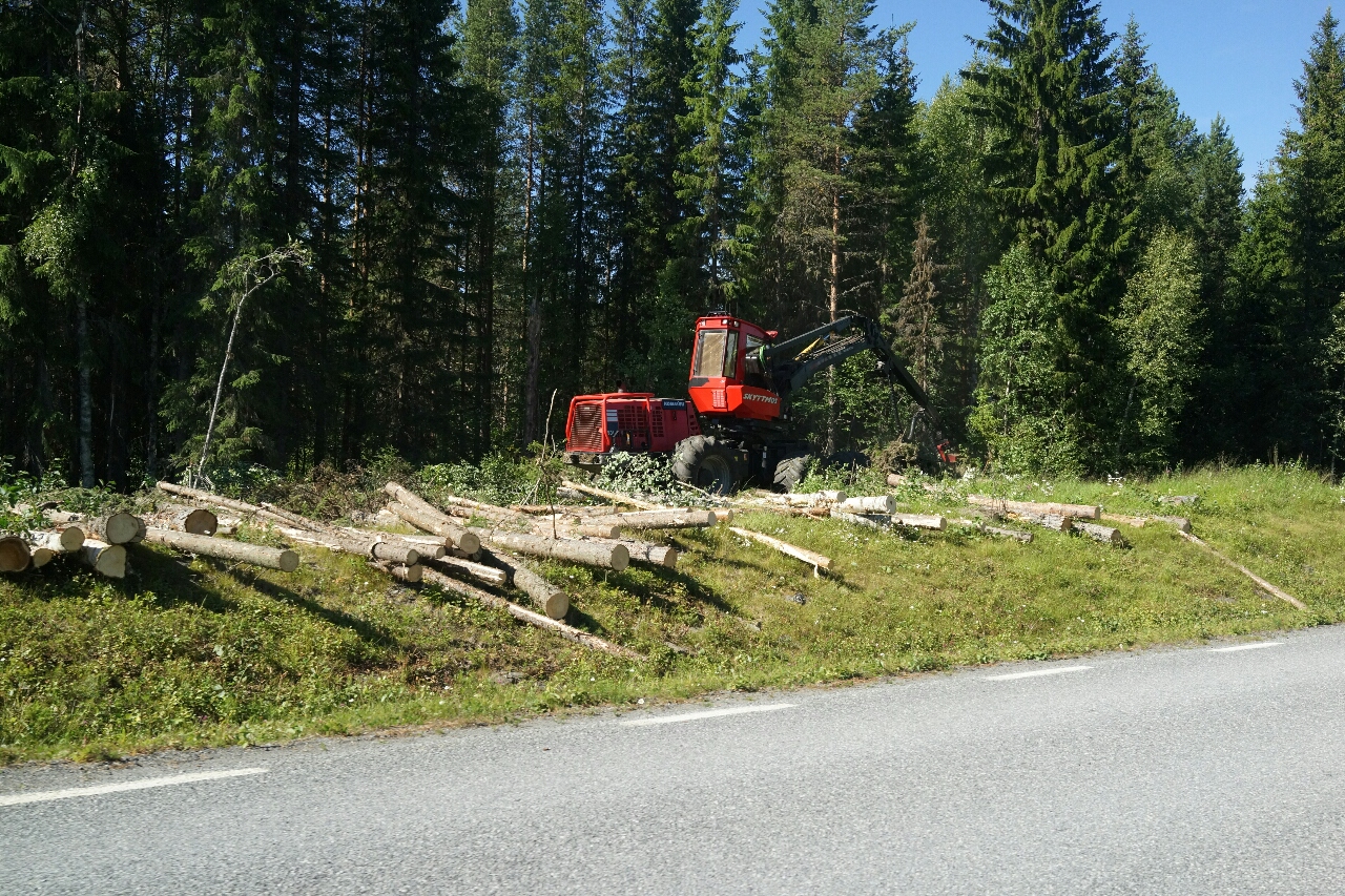 wpid-wp-1439933218240.jpeg image